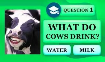 Trivia Quiz: Animals